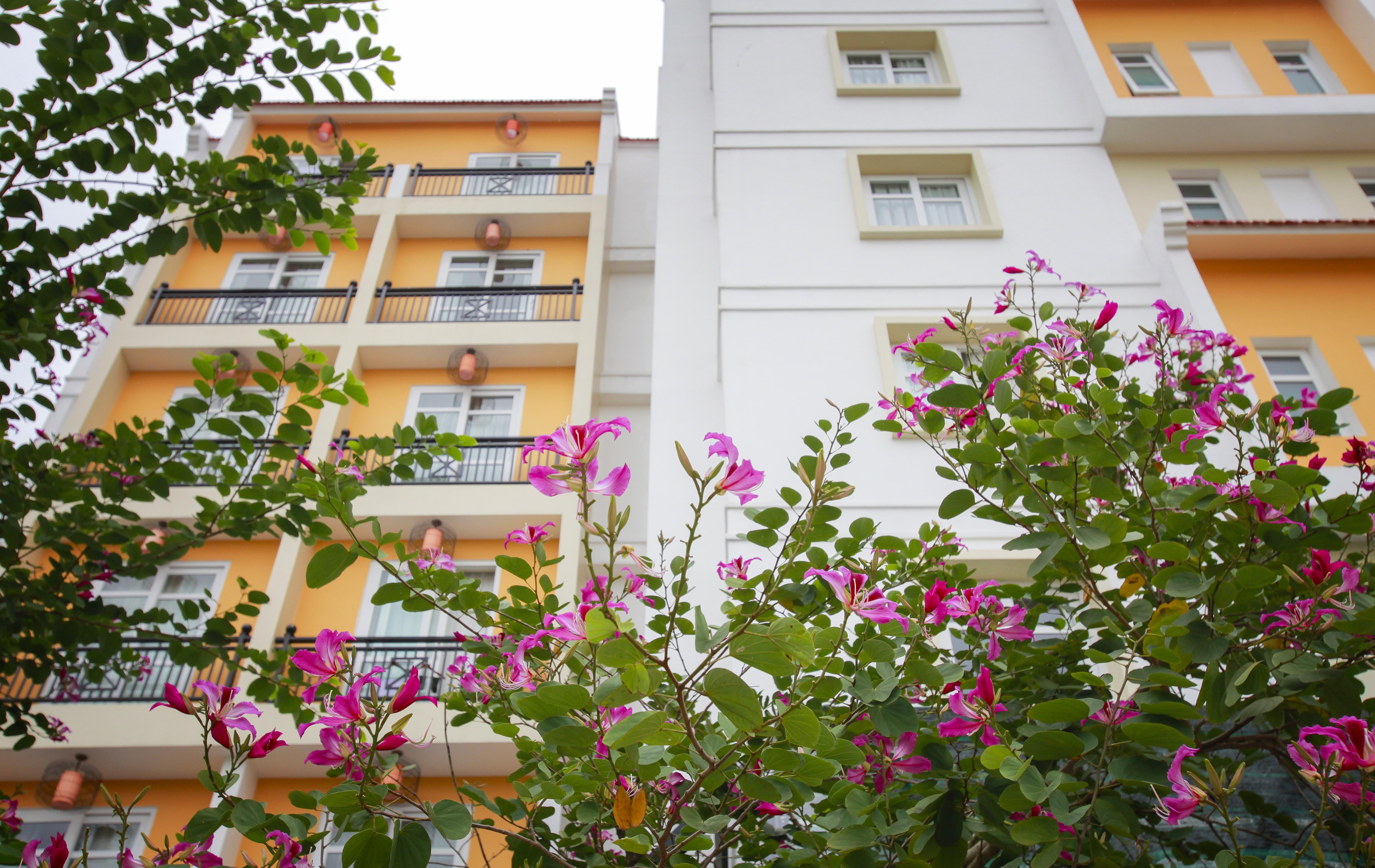 Royal Riverside Hoi An Hotel Exterior foto